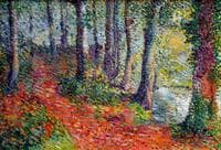 In the Woods