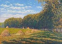 The Hay