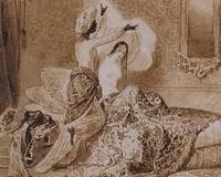 In the Harem