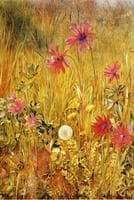 Wildflowers