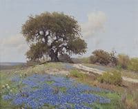 Blue Bonnet Time in Hill Country