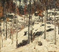 Snow Covered Forest
