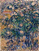 Field of Blue Flowers