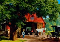 Horse Shoeing
