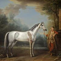 The Bloody-Shouldered Arabian