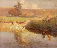 The Duck Pond