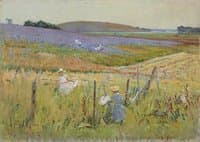 Butterfly Catchers