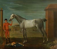 Young True Blue at Newmarket