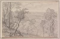 View of Wooded Hillside