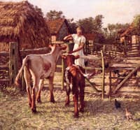 A Sussex Farm