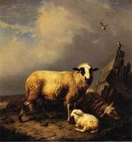 Guarding the Lamb