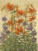 Tiger Lilies