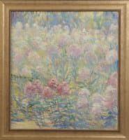 Phlox