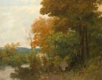 The Forest Edge
