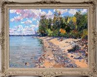 Norther Michigan Shoreline Summer