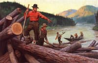 Loggers