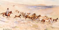 Running Wild Horses