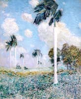 Royal Palms, Melena, Cuba