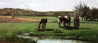 Donkeys in Pasture
