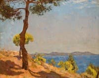 Mediterranean Coastline