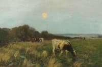 Cattle in Moonlight