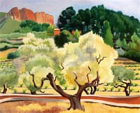 Olive Grove at Cassis
