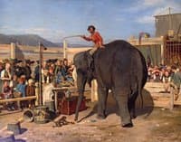 Circus Performance