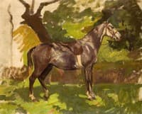 Grey Horse