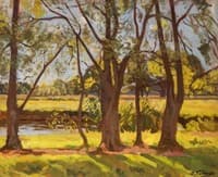 Ringwood Glade