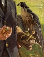 Falcon