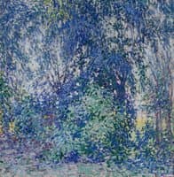 Undergrowth