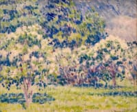 Grove of Trees