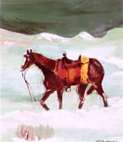 Saddled Horse