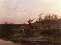 At the Watering Hole
