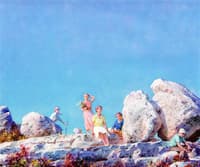 Picnic by the Balanced Boulders