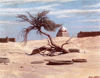 Tree and Graves on the Way to Tel El Armano, Egypt