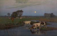 The Ford