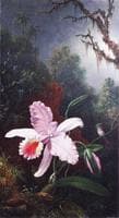 Orchid with an Amethyst Hummingbird