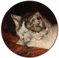 Sleeping Cat