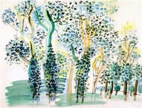 In the Woods