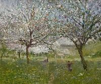 Apple Trees in Bloom