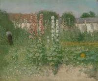 Hollyhocks in Garden
