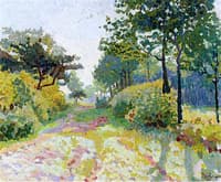 Summer Landscape