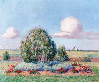 Flower Bed