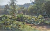 Coltsfoot, Doubs
