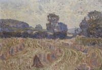 Cornfield in Summer