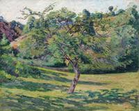 Landscape at Creuse with Tree