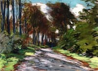 Sunken Path, the Effect of Light