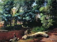 In the Forest