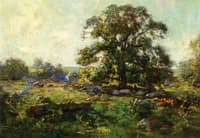 Oak Tree in Mystic
